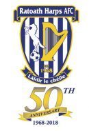 All Weather Pitch Ratoath Harps